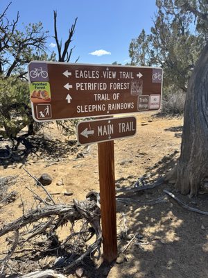 Escalante Petrified Forest State Park by null