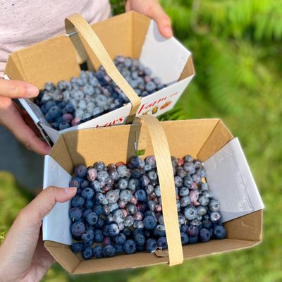 Andrews Farm Market & Winery by null