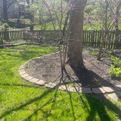Ultimate Lawn Care