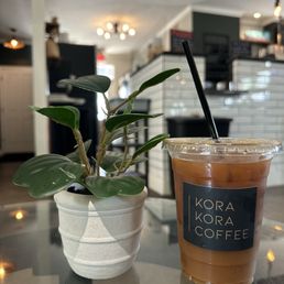 Iced Cold Brew