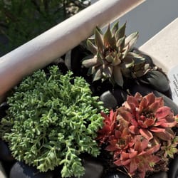 Sheridan Nurseries Toronto