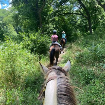 Texas Trail Rides - We were so enthralled we didn't get pictures of the best parts. So beautiful!! - Horseback Riding Near Me - Austin, Texas