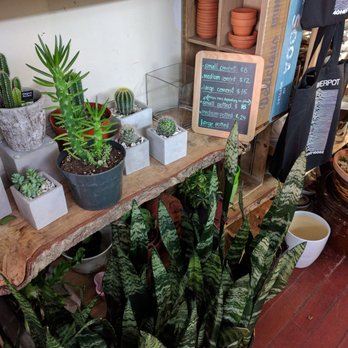 Joy's Flowers Pot - Florists Near Me - New York, New York
