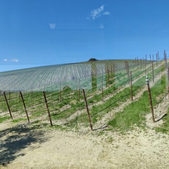 Booker Vineyard - Wineries Near Me - Paso Robles, California Booker Vineyard - Wineries Near Me - Paso Robles, California