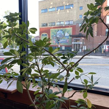 The Brick - a potted plant in front of a window - Bars Near Me - Dover, New Hampshire The Brick - a potted plant in front of a window - Bars Near Me - Dover, New Hampshire