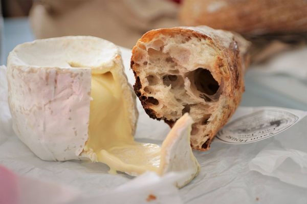 is bread bad for dog