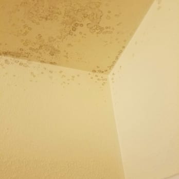 Econo Lodge - You can tell it's been cleaned before but still comes back - Hotels Near Me - Eugene, Oregon Econo Lodge - You can tell it's been cleaned before but still comes back - Hotels Near Me - Eugene, Oregon