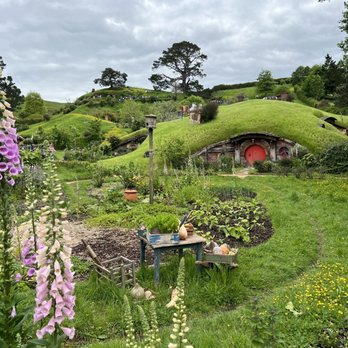 Hobbiton Movie Set - Walking Tours Near Me - Matamata, WKO