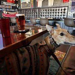 OLDE London ROAD PUB - Dog friendly