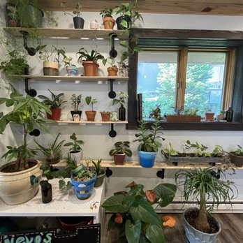 Moon Frog Coffee - Coffee & Tea Near Me - Winter Park, Colorado