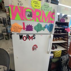 Fish Tails Bait and Tackle - Live bait fridge