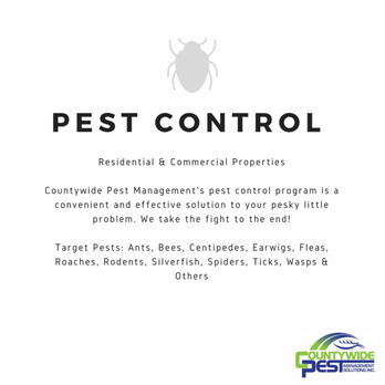 CountyWide Pest Management Solutions - Pest Control Near Me - Pembroke Pines, Florida CountyWide Pest Management Solutions - Pest Control Near Me - Pembroke Pines, Florida