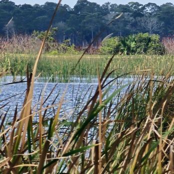 Ritch Grissom Memorial Wetlands - Parks Near Me - Viera, Florida