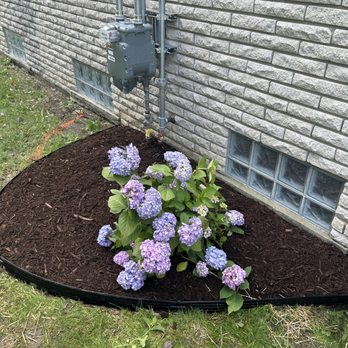 Rodriguez Landscape & Construction Group - Plantings. - Landscaping Near Me Rodriguez Landscape & Construction Group - Plantings. - Landscaping Near Me