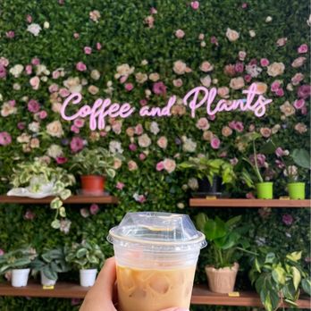 Coffee and Plants - Vanilla Latte with Oat Milk - Coffee & Tea Near Me - Pasadena, California