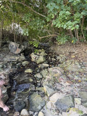 Carambola Beach Resort St. Croix, US Virgin Islands by null