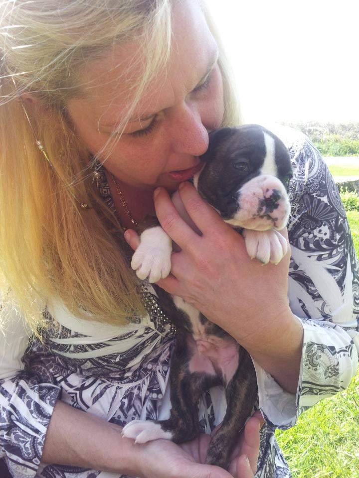 Pup N Up Image