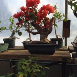 The Hidden Gardens