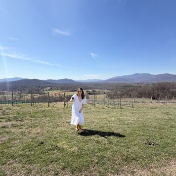 Hazy Mountain Vineyards & Brewery - Wineries Near Me - Afton, Virginia Hazy Mountain Vineyards & Brewery - Wineries Near Me - Afton, Virginia