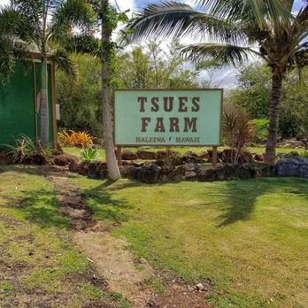 Tsue's Farm - Tsue's Farm - Paddleboarding Near Me - Haleiwa, Hawaii Tsue's Farm - Tsue's Farm - Paddleboarding Near Me - Haleiwa, Hawaii