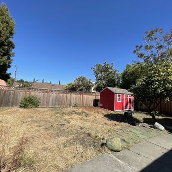 JMV Tree Service - Tree Services Near Me - Hayward, California JMV Tree Service - Tree Services Near Me - Hayward, California