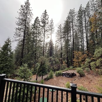 The Cozy Cub - Cabin in Arnold - Resorts Near Me - Arnold, California