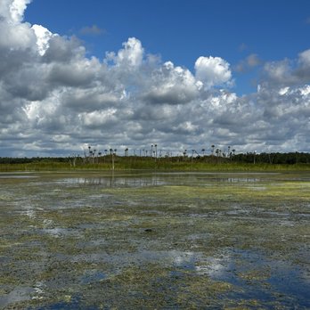 Orlando Wetlands - Parks Near Me - Christmas, Florida