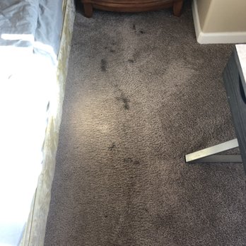 Green Clean Organics - Before - Carpet Cleaning Near Me Green Clean Organics - Before - Carpet Cleaning Near Me