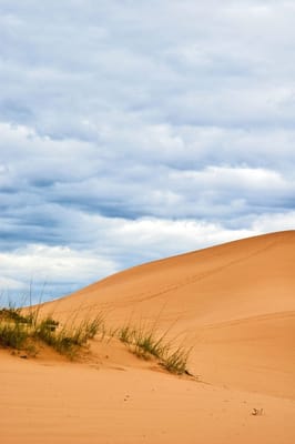 Coral Pink Sand Dunes State Park by null