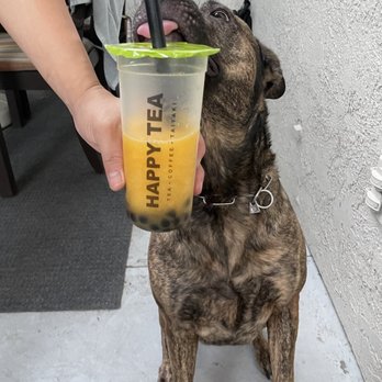 4Seasons Tea Cafe - Bubble Tea Near Me - Anaheim, California