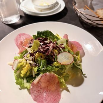 Vela - Little gem - American Near Me - Doylestown, Pennsylvania