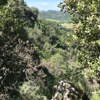 Sunol Regional Wilderness Area - Parks Near Me - Sunol, California Sunol Regional Wilderness Area - Parks Near Me - Sunol, California