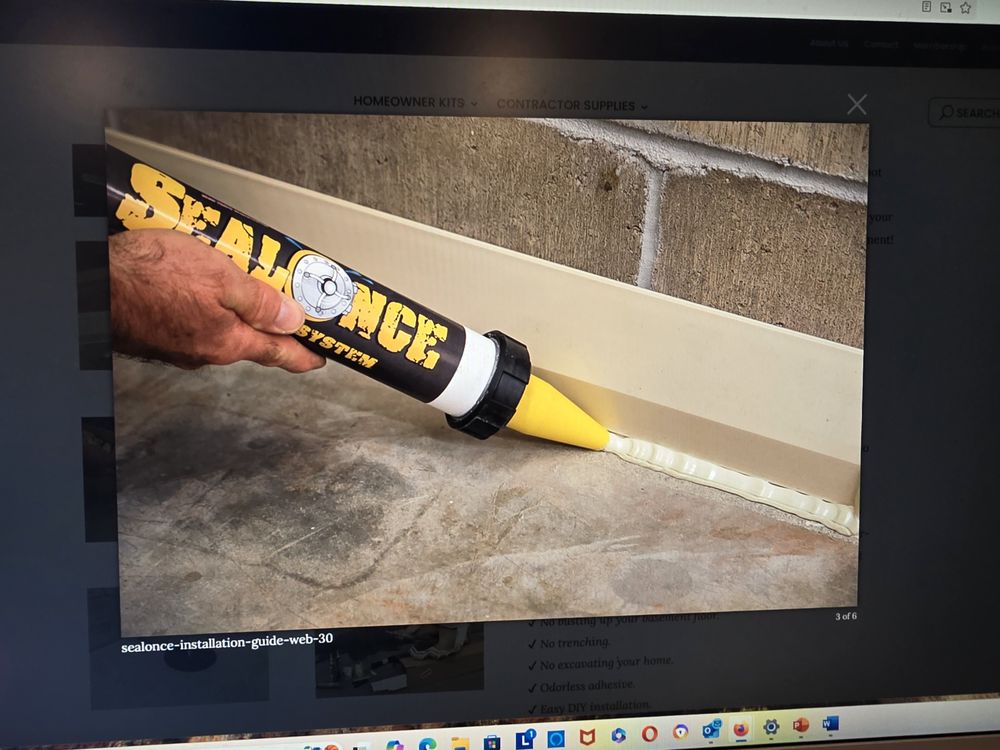 Slide of Dirtydogs Property Solution