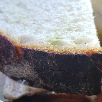 Panera Bread - My burnt bread sandwhich. - Salad Near Me - Lake City, Florida Panera Bread - My burnt bread sandwhich. - Salad Near Me - Lake City, Florida