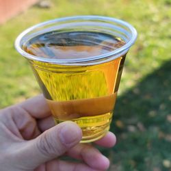 Doc Waters Cidery - Sweet McIntosh (semi-sweet cider) - November 2024