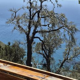 View from the back porch