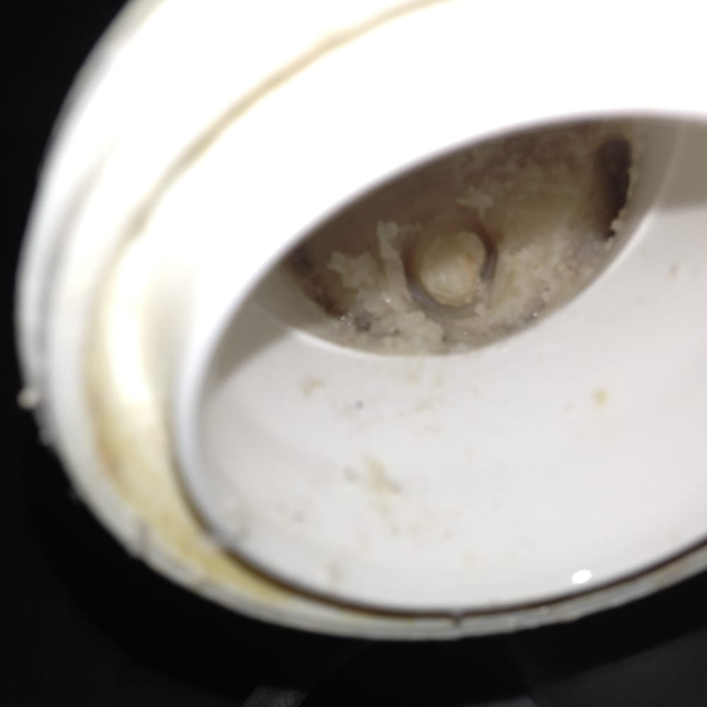 Slide of My Plumber Plus