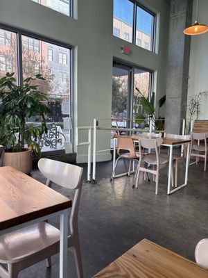 The Daily Beet by null