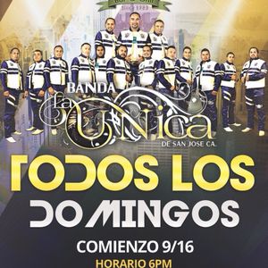 Tacos al Carbon Bar & Grill on Yelp