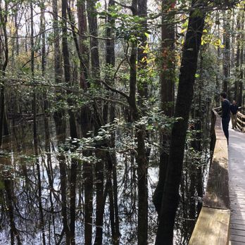 Congaree National Park - Parks Near Me - Hopkins, South Carolina