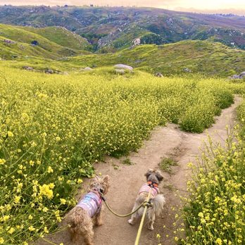 Sycamore Canyon Wilderness Park - Parks Near Me - Riverside, California Sycamore Canyon Wilderness Park - Parks Near Me - Riverside, California