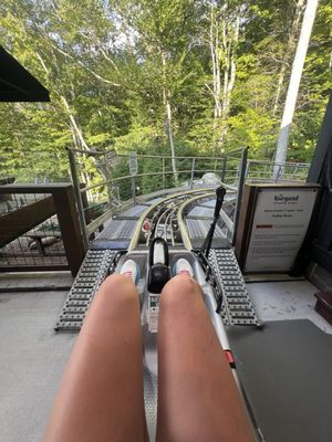 Wilderness Run Alpine Coaster by null
