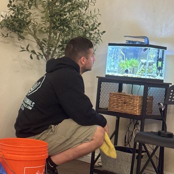 Valley Aquatics - Hovik maintaining our aquarium with precision and care. - Aquarium Services Near Me Valley Aquatics - Hovik maintaining our aquarium with precision and care. - Aquarium Services Near Me