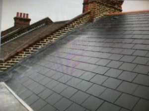 Slide of Manson Services