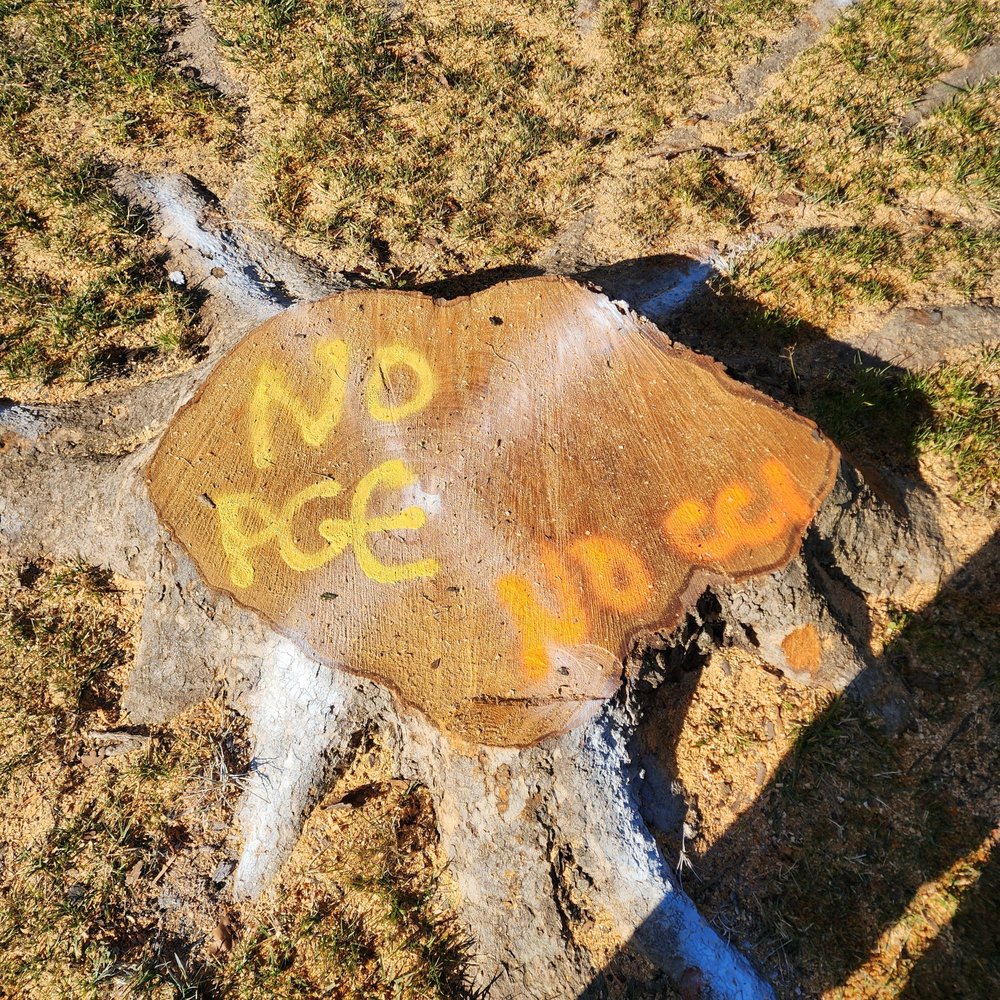 Yosca - Full ServiceTree Care - tree service in Sacramento, CA