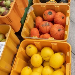 Quincy Farmers Market - Fall display from Stillman's Farm