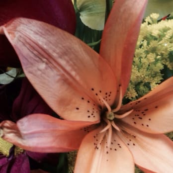 Bloomin Across Texas - Florists Near Me - Pflugerville, Texas