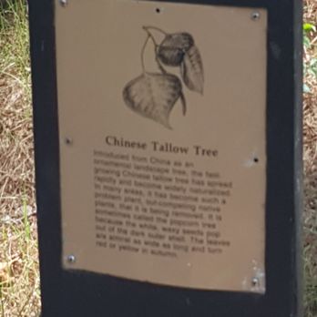 Audubon Bird Sanctuary - Parks Near Me - Dauphin Island, Alabama Audubon Bird Sanctuary - Parks Near Me - Dauphin Island, Alabama