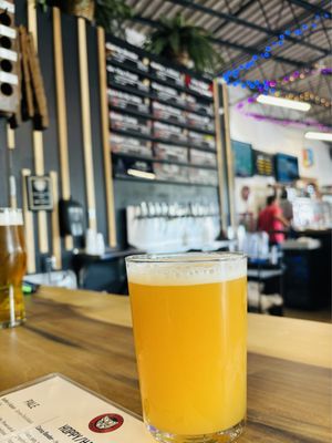 BabyCat Brewery by null