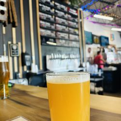 BabyCat Brewery - Beer me